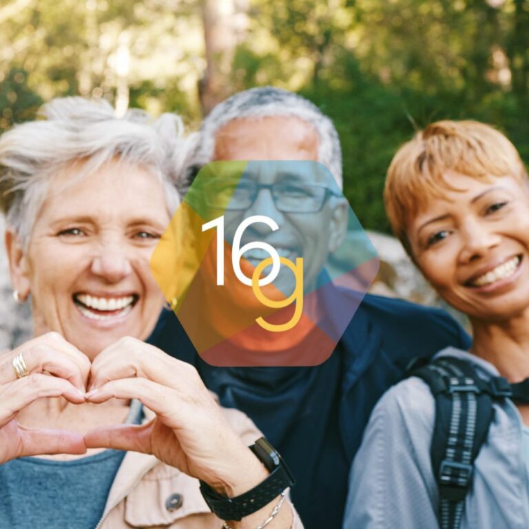 16 Guidelines for Life - Foundation for Developing Compassion and Wisdom