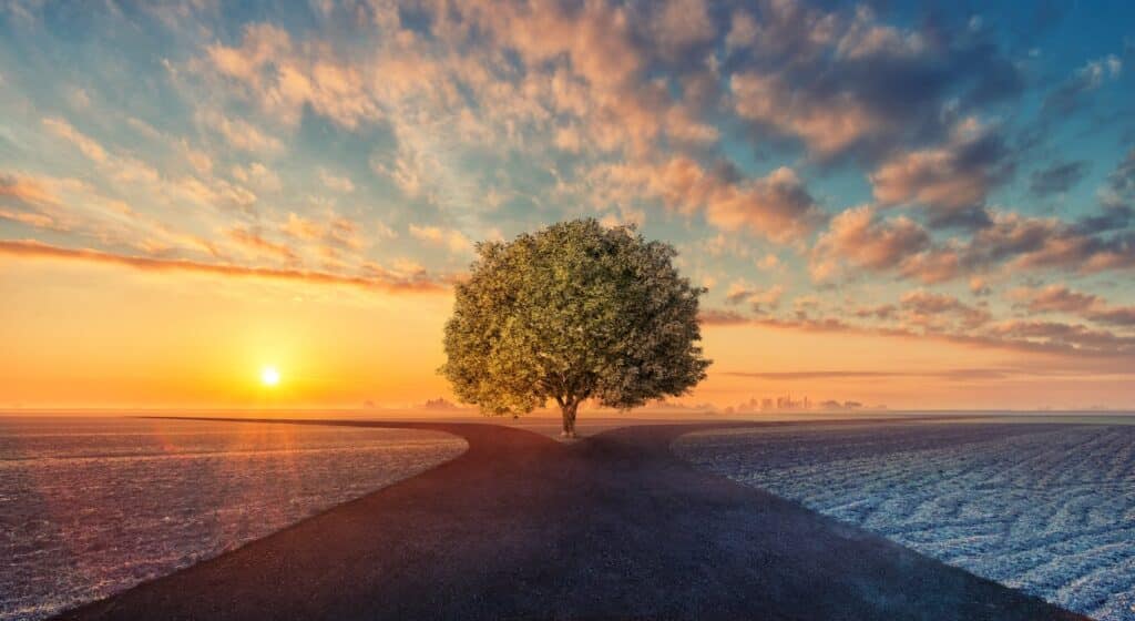 A Radical Exploration of Conscious Living and Dying